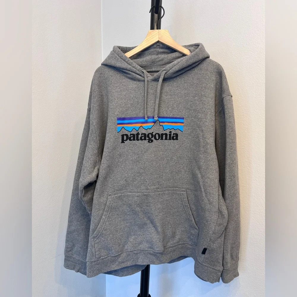 Patagonia Gray Logo Hoodie - Picture 1 of 3